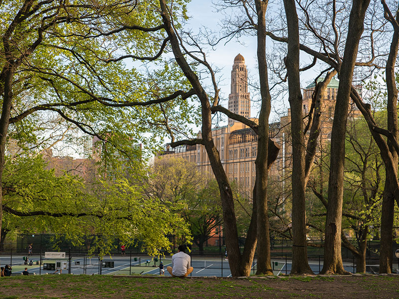 The Fort Green Park